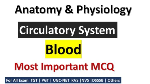 Circulatory System: Blood Quiz Challenge!