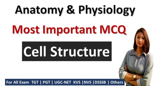 Cell Structure Quiz : PE Exam Quiz