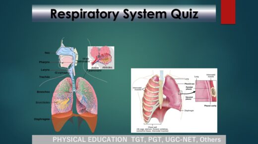 Respiratory System Quiz : 15 Important MCQs to Ace Your PE Exam Preparation