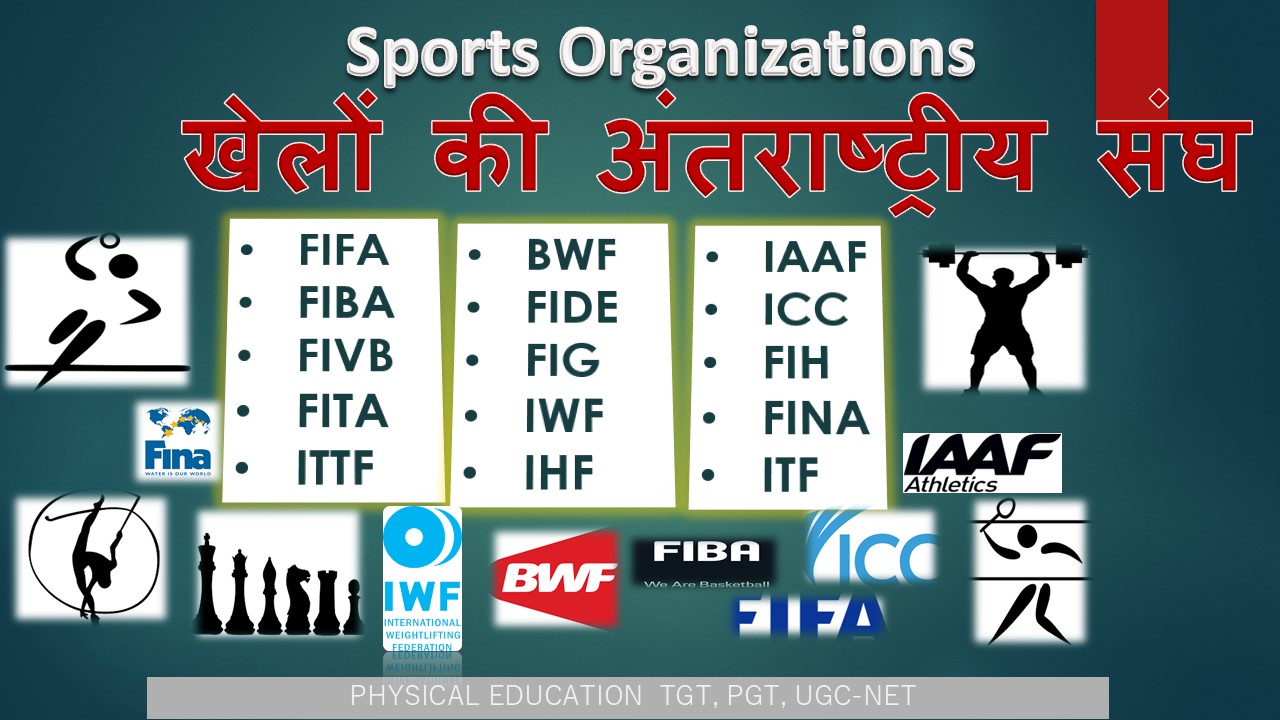Sports Organizations : 25 Important MCQs to Boost Your PE Exam Preparation 1 You are currently viewing Sports Organizations : 25 Important MCQs to Boost Your PE Exam Preparation
