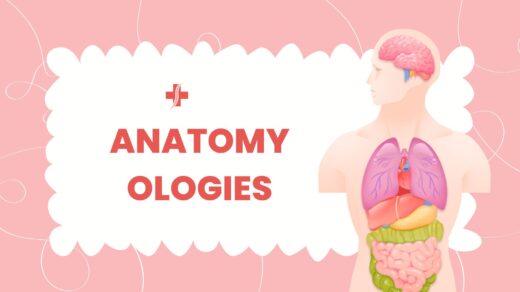 Anatomy Ologies Quiz : 15 Important MCQs