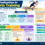 Periodization in Sports Training: Types, Cycles & Phases