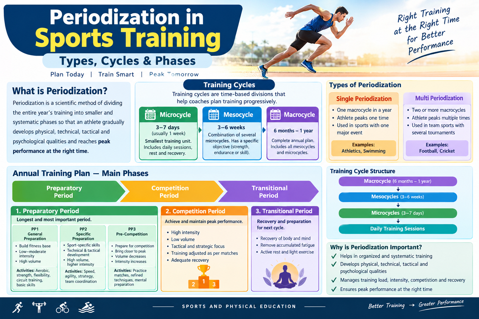 You are currently viewing Periodization in Sports Training: Types, Cycles & Phases